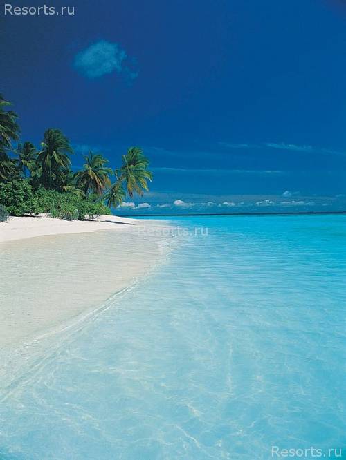 Vakarufalhi Island Resort 4